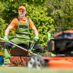 Lawn Maintenance Services