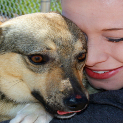 Animal Care and Control