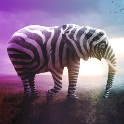 Branding & Positioning