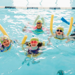 Turtle 2 Beginner Stroke Skills