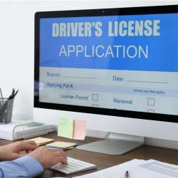 Driver License & Permits