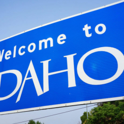 Bilingual Real Estate Services (Spanish)