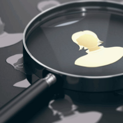 Training and Development