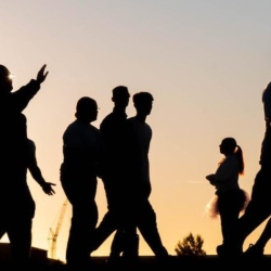 Wellness Programs