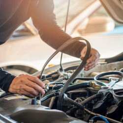 Car & Truck Care