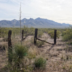 Tbd W Agua Blanca Road - Elfrida, AZ 85610