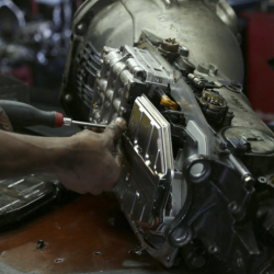 Transmission Services