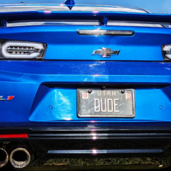 Car Show