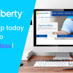 Online Payment (Credit Card, Debit Card, Checking Account)