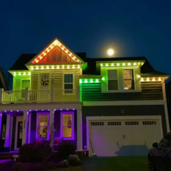 Permanent Govee Lighting Installation
