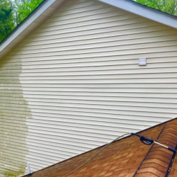 Gentle House Soft Washing