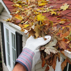 Expert Rain Gutter Cleaning