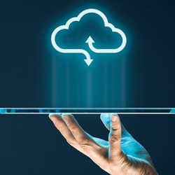 Co-Managed IT Services (CoMIT)