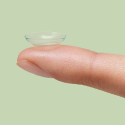 Contact Lenses