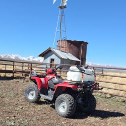 Treating Noxious / Invasive Weeds