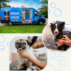 Mobile Pet Spa & Salon