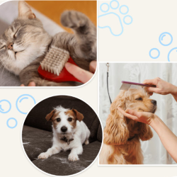 Deshedding