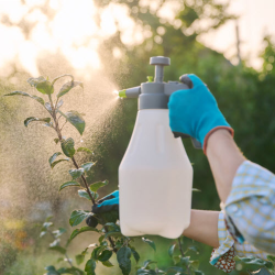 Spray for Pest Control Planting