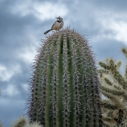 Explore Our Preserves