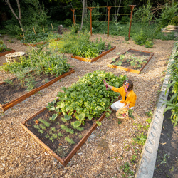 Garden Plots for Annual ease