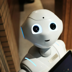 AI Tool Training (Using AI Like a Pro)