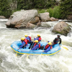 Rafting Trips