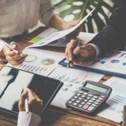 Bookkeeping & Financial Organization