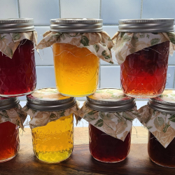 Homemade Jellies