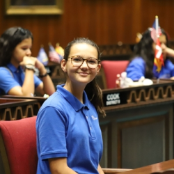 School of Logic (7th-8th Grade)