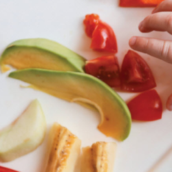 Food Establishments & Food Safety