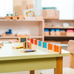 Child Care Facility Licenses and Inspections