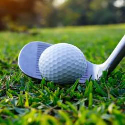 Sierra Vista Open Golf Tournament