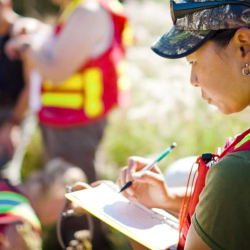 Cybersecurity Program