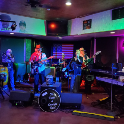 Live Music Performances