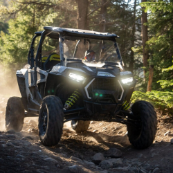 Thrilling RZR Rentals