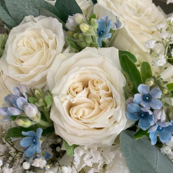 Classic Ivory Deluxe A Florist Original