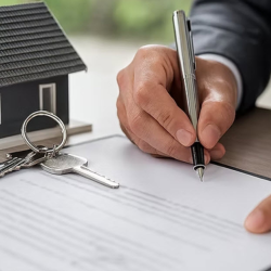 Document Preparation Services