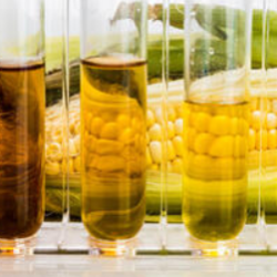 Gasoline Blended With Ethanol