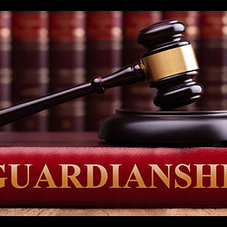 Probate, Guardianship & Conservatorships