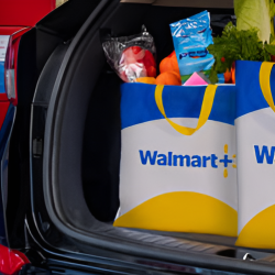 Walmart+ Fuel Savings