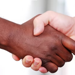 Professional Speakers Consultation