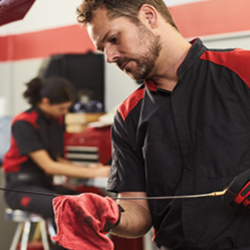 Toyota Service & Maintenance