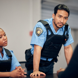 Internal Affairs Investigation Support
