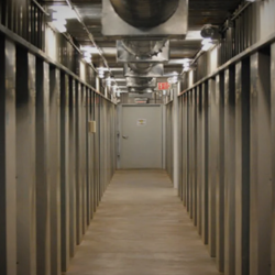 Climate Controlled Storage Units