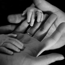 Family Law Support