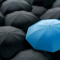 Umbrella Liability