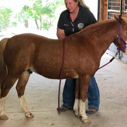 Masterson Method® Bodywork