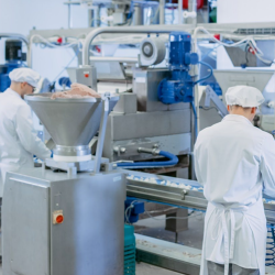 Workforce Development & Education