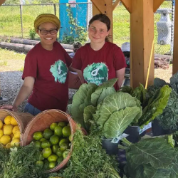 Urban Farm & Community Gardens