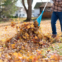 Seasonal Cleanups